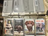 a lot of cards in the case on the table