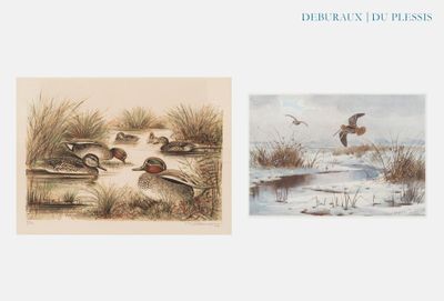 deux tableaux représentant des canards dans l'eau, dont l'un est en train de voler