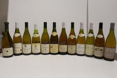 many bottles of wine lined up on the counter
