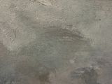 a close up picture of a dog ' s face in the sand