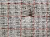 a close up of a piece of fabric with a hole in it