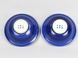 pair of blue and white ceramic salt and pepper shakers