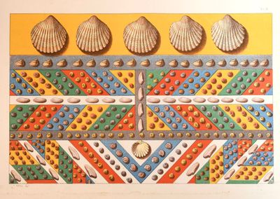 une photo d'une photo représentant des coquillages accrochés au mur