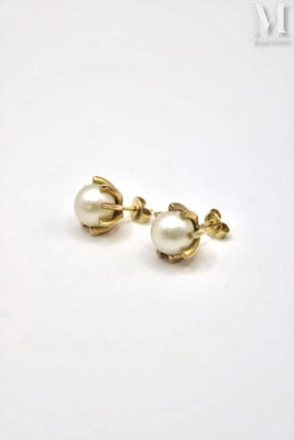 pair of pearl and gold earrings on a white background