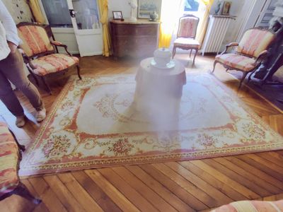 a woman standing in a living room with a rug on the floor