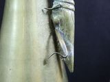 a moth that is sitting on the top of a vase