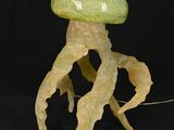 a jellyfish made out of plastic on a black background