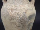 Photo 5/20 du lot