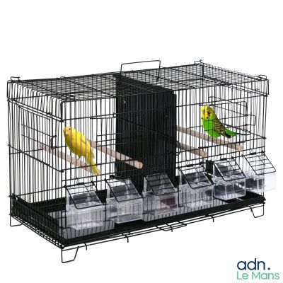 deux oiseaux qui sont posés dans une cage