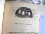 un livre ouvert sur lequel est dessiné un gâteau