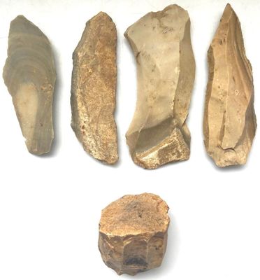 plusieurs morceaux de pierre sont disposés en rangée sur une surface blanche