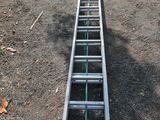 a ladder that is laying on the ground next to a tree