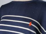 the shirt is blue and white striped with a red horse on it