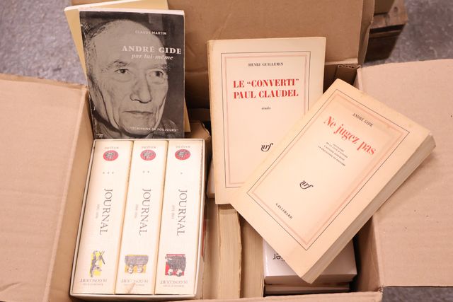 Lot de 4 cartons littérature Gallimard et divers 