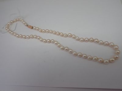 Collier de perles de culture chocker, fermoir or, L.45,5cm - Photo 1