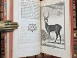 un livre ouvert sur lequel figure l'image d'un cerf