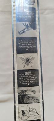 a picture of a box with a picture of a fly on it