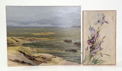 deux tableaux représentant des fleurs sur un fond blanc, placés l'un à côté de l'autre