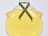 une bouteille en verre contenant un liquide jaune