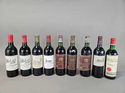 six bottles of red wine are lined up in a row