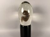a small glass ball with a teddy bear inside of it