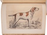 a drawing of a dog in a book on a table