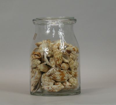 a glass jar with shells in it on a table