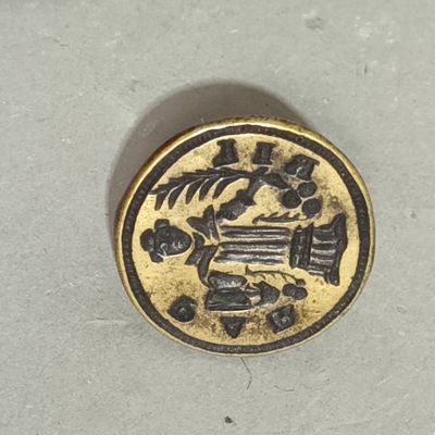 a gold coin with a design on it on a white surface