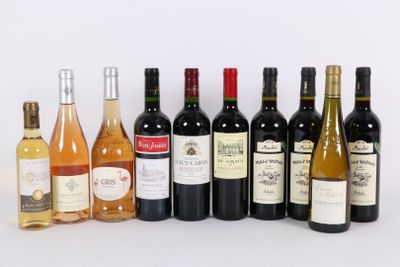 des bouteilles de vin sont alignées sur une surface blanche
