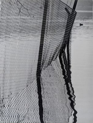 une photo en noir et blanc d'un filet de pêche dans l'eau