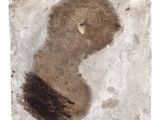 an image of a stone with a picture of a woman ' s head