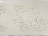 une image représentant un dessin de fleurs sur une feuille de papier