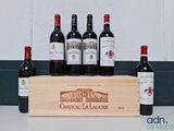 Plusieurs bouteilles de vin sont posées dans une caisse en bois sur un comptoir