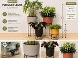 plusieurs types de plantes en pot, de tailles et de couleurs variées