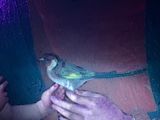 a man that is holding a bird in his hand