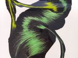 dessin représentant une feuille verte et noire avec une longue queue