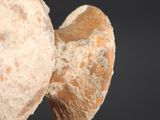 a piece of bread that has been eaten and is being held by a hand