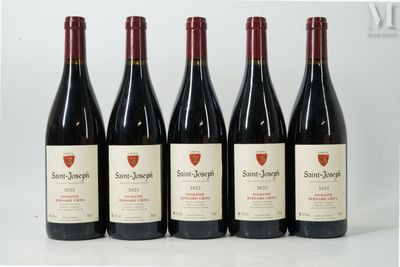 six bouteilles de vin sont alignées sur une surface blanche