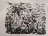 a black and white drawing of trees in a forest