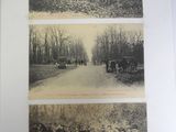trois vieilles photos en noir et blanc représentant des personnes et des chevaux dans une forêt