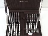 a case with a set of knives and knives in it