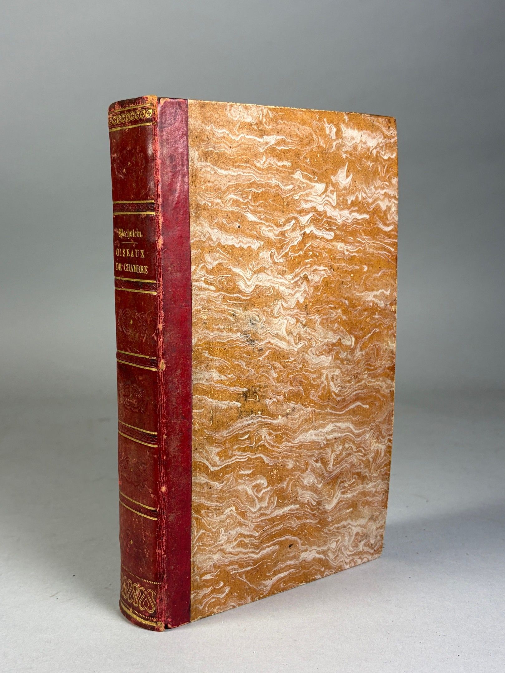 Objets d'art & Curiosités