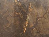 Photo 4/8 du lot