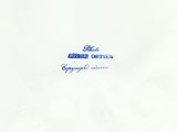 an envelope with a blue ink drawing of an airplane on it