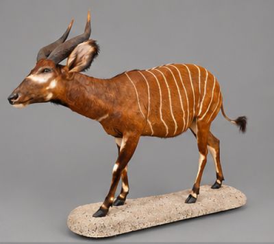statue d'une antilope posée sur un socle en pierre, sur fond gris
