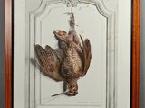une vieille photo d'un oiseau accrochée au mur dans un cadre