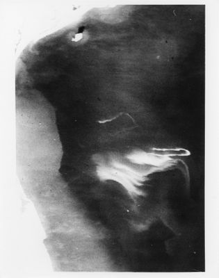 une vieille photo en noir et blanc montrant la tête d'un chien levée vers le ciel