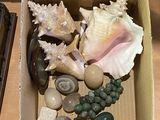 une boîte remplie de coquillages et d'autres objets posée sur une table
