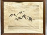 an old picture of a flock of birds flying in the sky