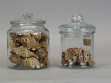 two glass jars with shells inside of them on a table